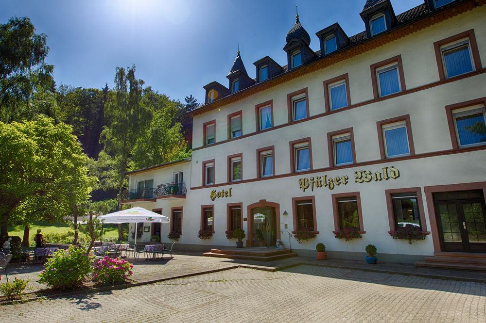 Hotel Pfaelzer Wald Bad Bergzabern Dış mekan fotoğraf